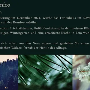 Bayerischer Wald Ferienhaus